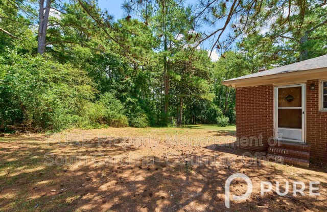 4444 Dennis Dairy Road - 4444 Dennis Dairy Road, Newberry County, SC 29108