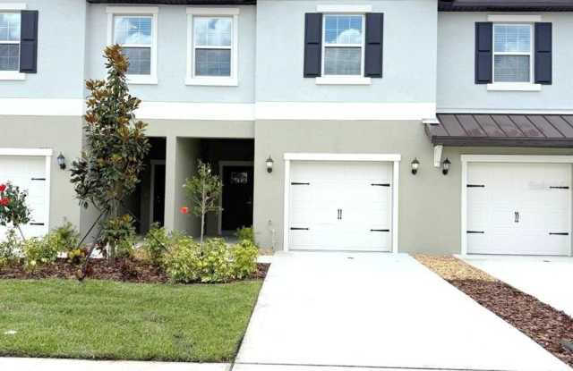 32037 SPICEBERRY STREET - 32037 Spiceberry Street, Pasco County, FL 33545