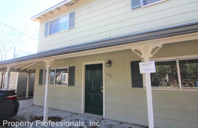 121 S Union - 121 South Union Avenue, New Braunfels, TX 78130