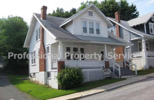 211 North Delaware Avenue - 211 North Delaware Avenue, Brunswick, MD 21716