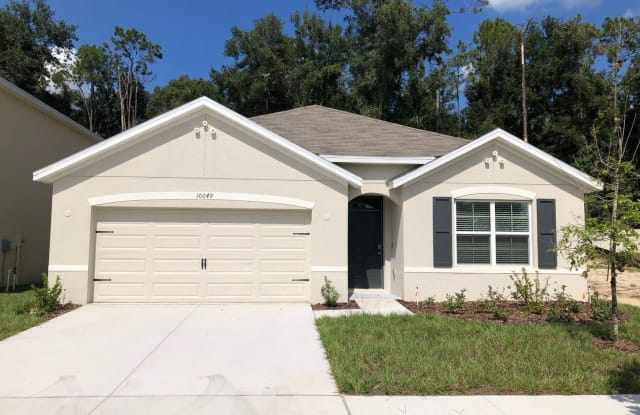 10049 Warmstone Street - 10049 Warm Stone St, Thonotosassa, FL 33592