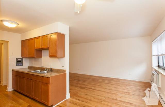 509 W Briar Pl Gallery 3