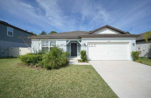 30399 Marquette Avenue - 30399 Marquette Avenue, Wesley Chapel, FL 33545