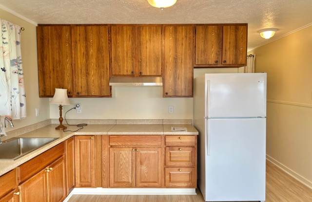 Newly Renovated 700 Sq. Ft. Attached Studio for Rent – Wailuku Gallery 3