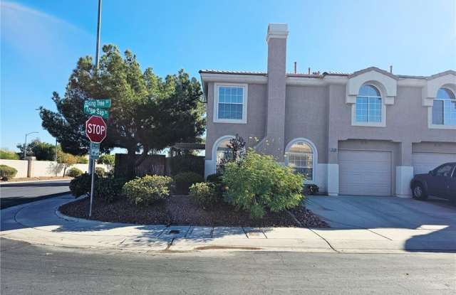 10108 Rising Tree Street photos photos