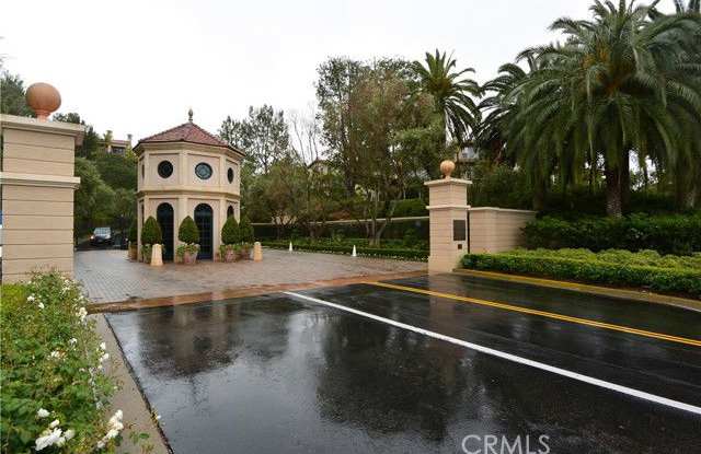 50 Tidal Surf photos photos