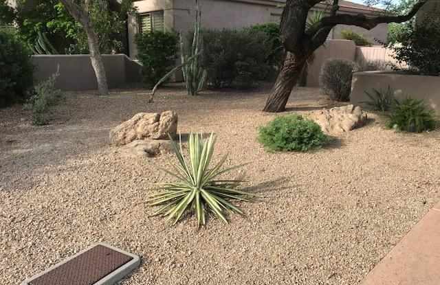 11015 E DESERT VISTA Drive Gallery 3