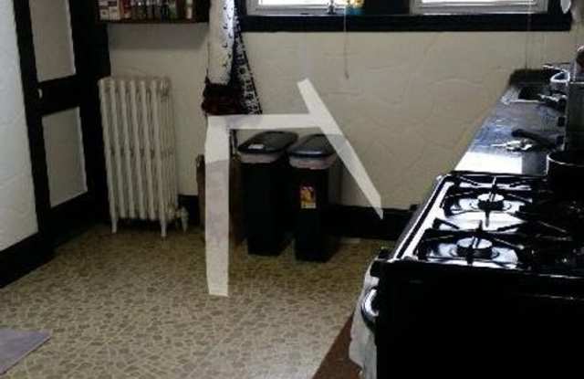 Big and Bright photos photos