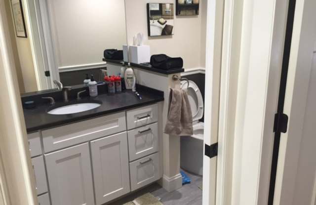 1 bed 1.5 bath with roof deck, no undergrads, central air, W/D in unit photos photos