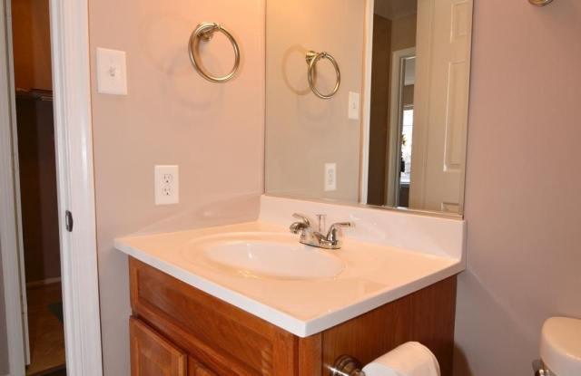 1113 HUNTMASTER TERRACE NE - 1113 Huntmaster Terrace Northeast, Leesburg, VA 20176