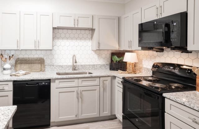 Appling Lakes Apartments Gallery 2