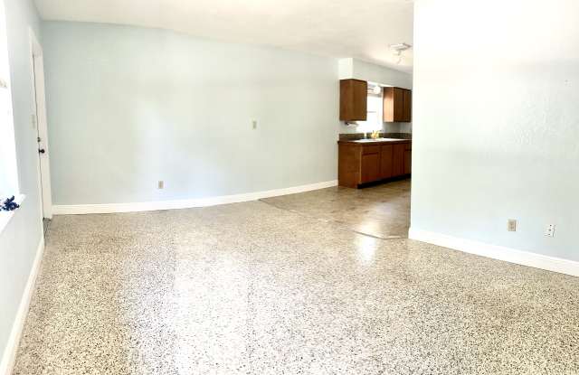 812 Bayou Avenue - 812 Bayou Avenue, Tarpon Springs, FL 34689