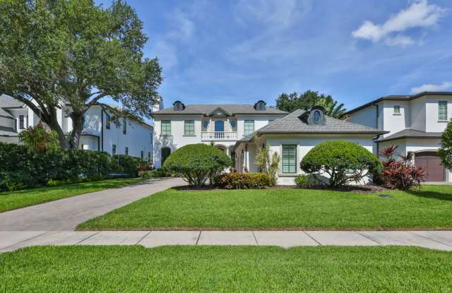 Davis Island Executive Home Gallery 4
