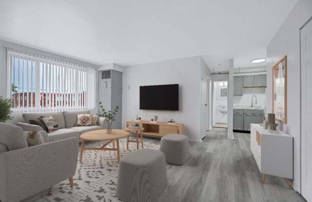 Glebe House Apartments Gallery 2