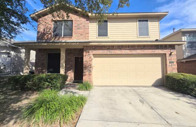 12239 Painted Daisy photos photos