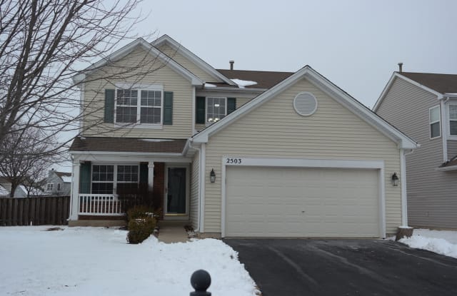 2503 Red Hawk Ridge Court - 2503 Red Hawk Ridge Drive, Aurora, IL 60503