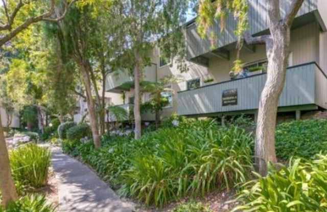 Peninsula Place! 141 Picadilly Place # B - 141 Piccadilly Place, San Bruno, CA 94066