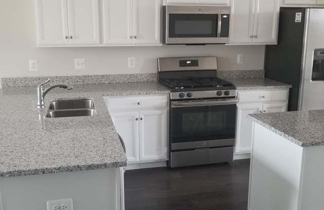 22174 MAPLE TREE TERRACE Gallery 3