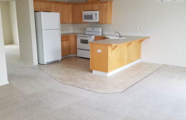 4811 Guemes Lane - 4811 Guemes Lane, Pasco, WA 99301