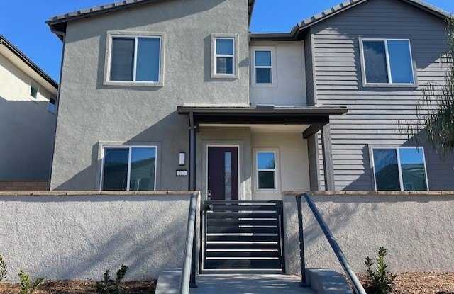 213 Shoveler photos photos