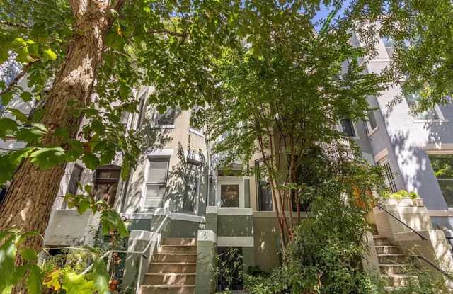 Charming 3BR Duplex in Dupont Circle photos photos