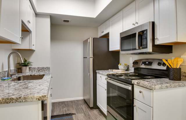 Alterra Apartments Gallery 3