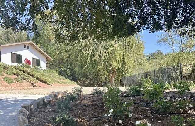 1131 Rancho Dr Gallery 3