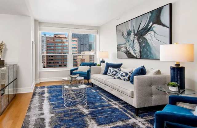 830 N Lakeshore Drive Gallery 2
