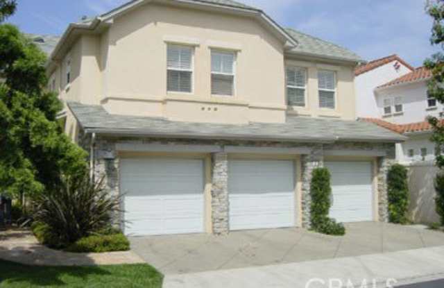 3 Pavona photos photos