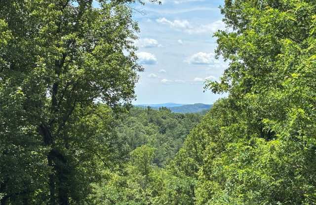59 HUNGRY HORSE Lane photos photos