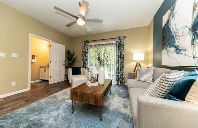Cooper Creek photos photos