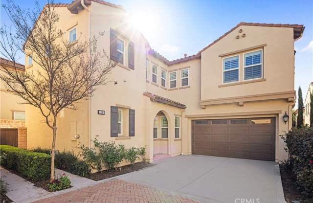 15 Torosa photos photos