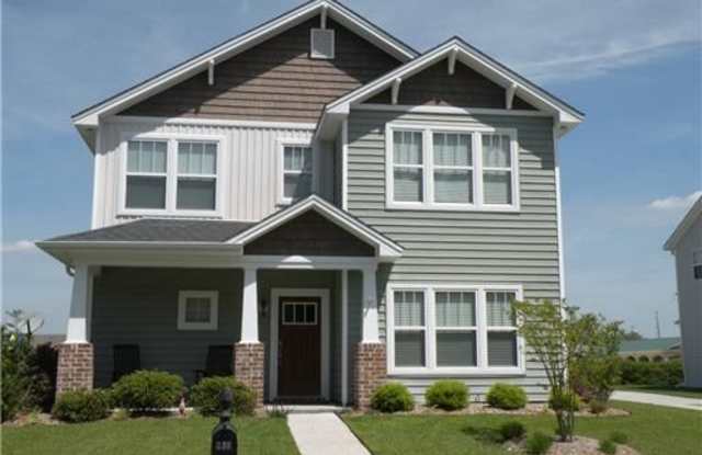 236 Savannah Lane - 236 Savannah Ln, Richmond Hill, GA 31324