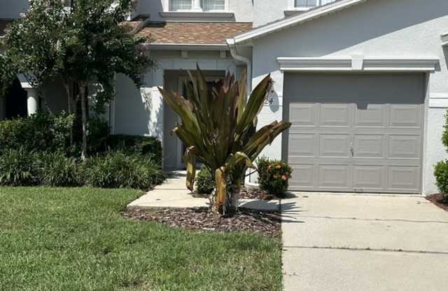 2424 Hassonite Street - 2424 Hassonite Street, Osceola County, FL 34744