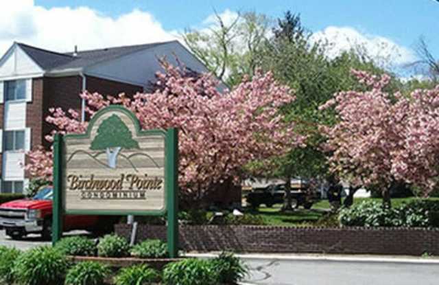5 Birchwood Pointe Gallery 1