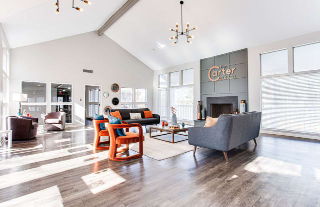 The Carter at 4250 Gallery 2