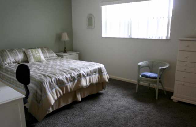10455 Carrollwood Estates Drive Gallery 4