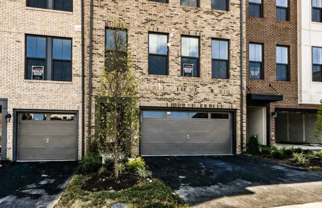 42301 BELGRAVE GARDENS TERRACE Gallery 2
