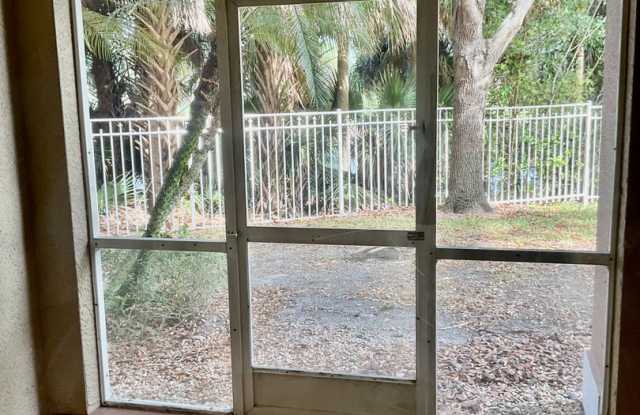 Palmetto photos photos