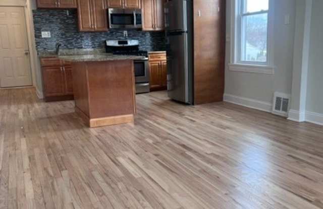 228 Weber Street unit: 2Ndfl photos photos