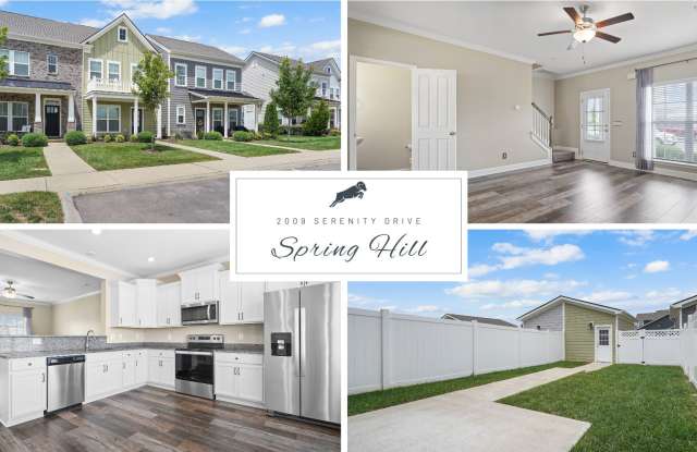2009 Serenity Street, Spring Hill, TN 37174 - 2009 Serenity Street, Spring Hill, TN 37174
