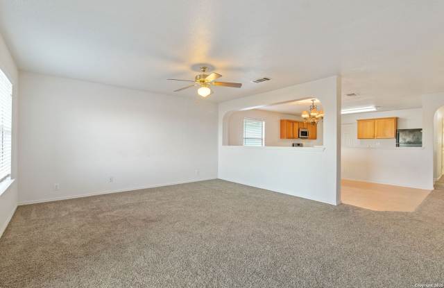 3835 Mist Flower Drive photos photos