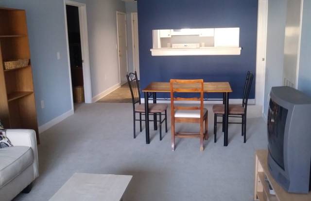 Chapel Hill / 4BR Univ Comm FURNISHED Condo Gallery 4