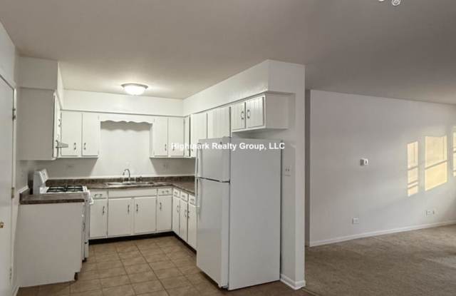 520 North Mill Rd. - 520 North Mill Road, Addison, IL 60101