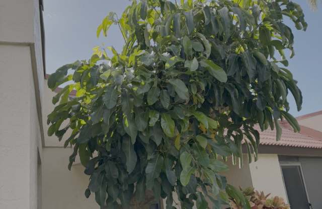 1985 Northeast Collins Circle photos photos