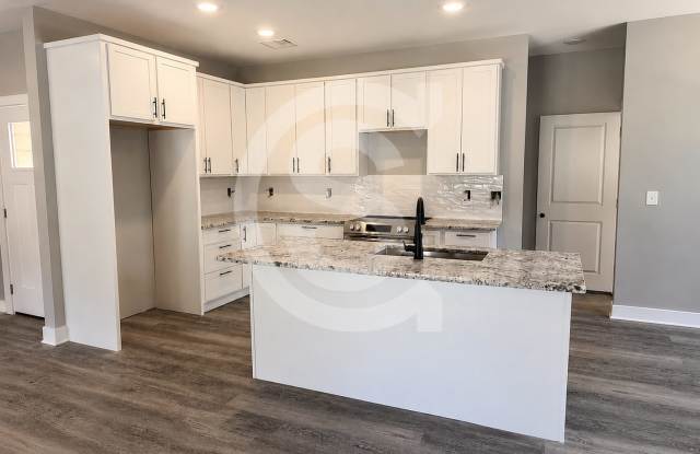Brand New Home for Rent in Silverback Landing Gallery 3