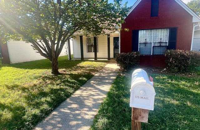 Buena Vista Cottage for Rent! photos photos