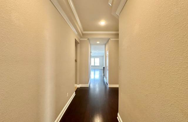 822 Olive Lane Gallery 3