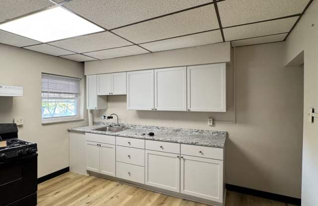 Newly Renovated 2-Bedroom Home in Hazelwood Gallery 3