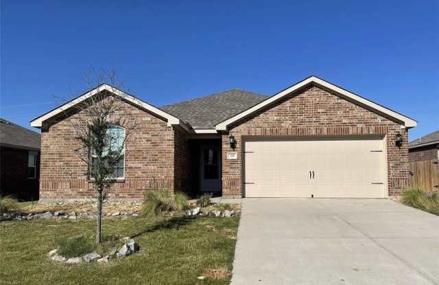 328 Magnolia Drive - 328 Magnolia Drive, Princeton, TX 75407